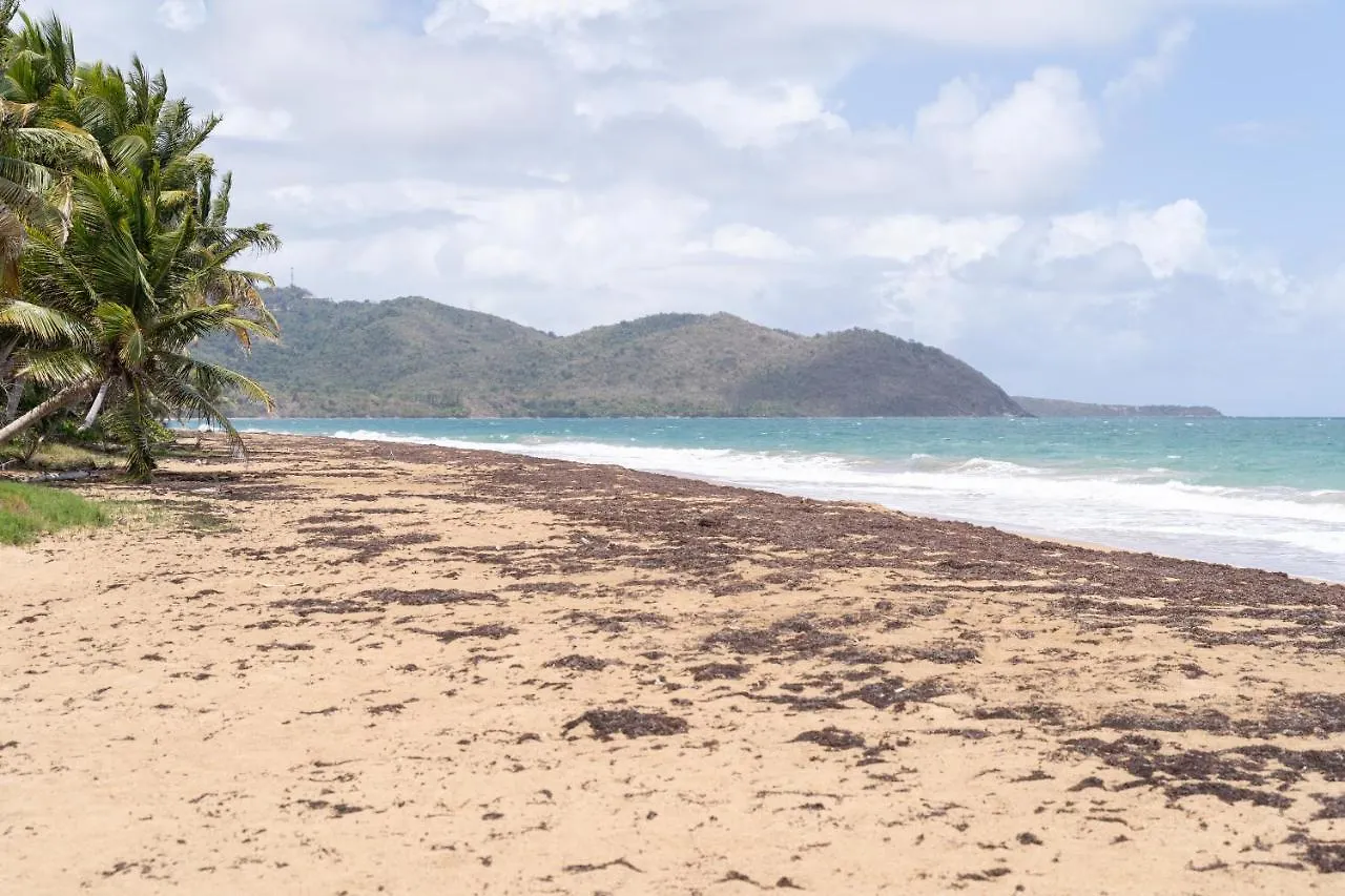 Apartment In Villas Del Faro Resort With Wifi Maunabo